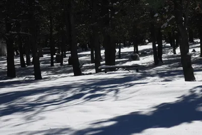 DSC_4909 (Large).JPG